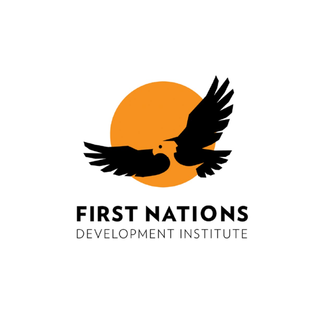 first_nations_development_institute